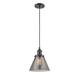 Option Oil Rubbed Bronze / Light Smoke