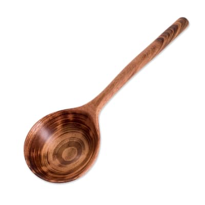 Novica Handmade Familiar Flavor Wood Serving Spoon