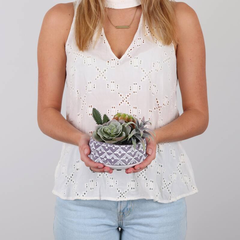Succulent Garden - Mini - Eden - 1 Pack