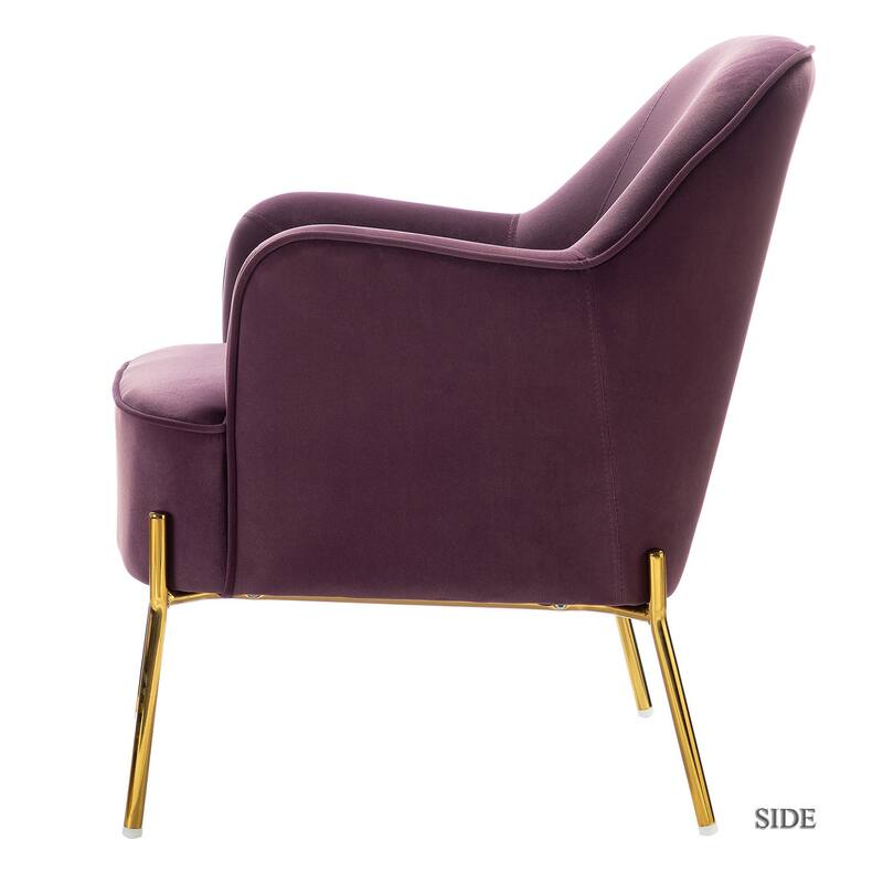 Barbara Modern Velvet Accent Chair for Bedroom with Metal Legs by HULALA HOME
