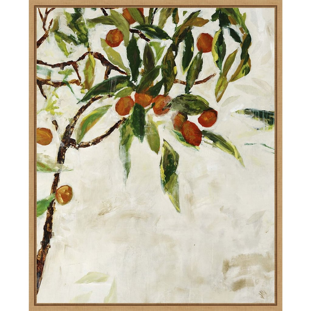 Kumquat Tree by Jodi Maas Framed Canvas Wall Art Print - Sylvie Maple