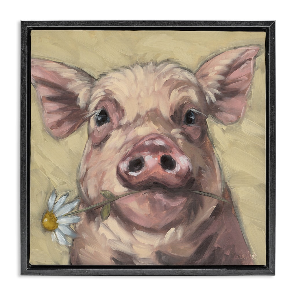 Stupell Pig Holding Daisy Sprig Framed Floater Canvas Wall Art Design By Sara G. Designs