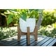 preview thumbnail 4 of 3, Mid-Century 10" & 6.6" Cathedral Ceramic planter on Stand ， SET OF 2