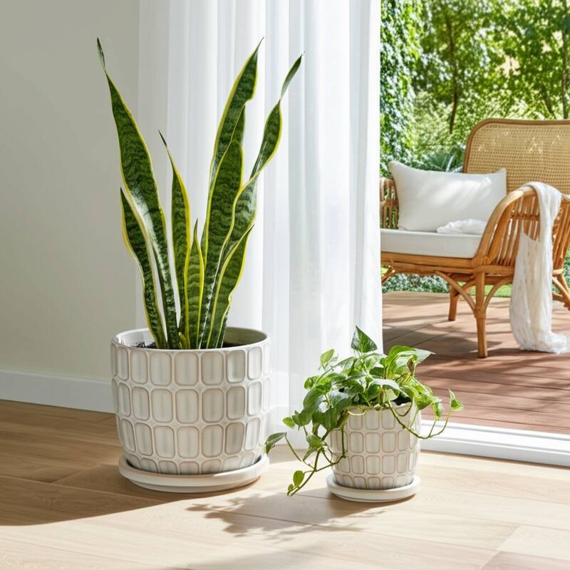 Stoneware Saucer Planters with Embossed Geometric Texture (Set of 2)