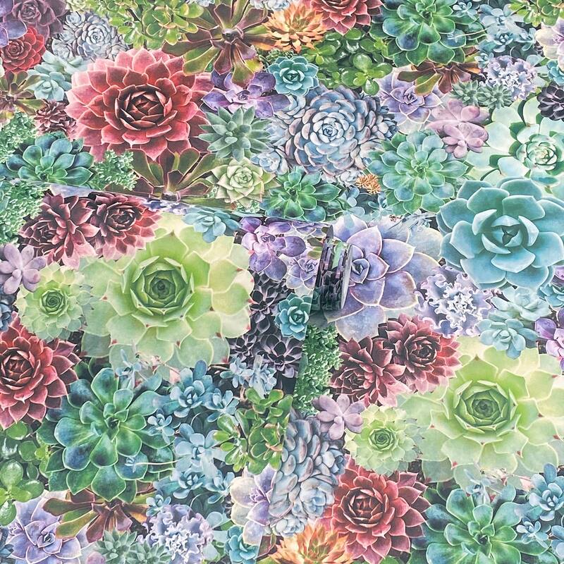 Arthouse Rhea Multicolor Succulents Wallpaper