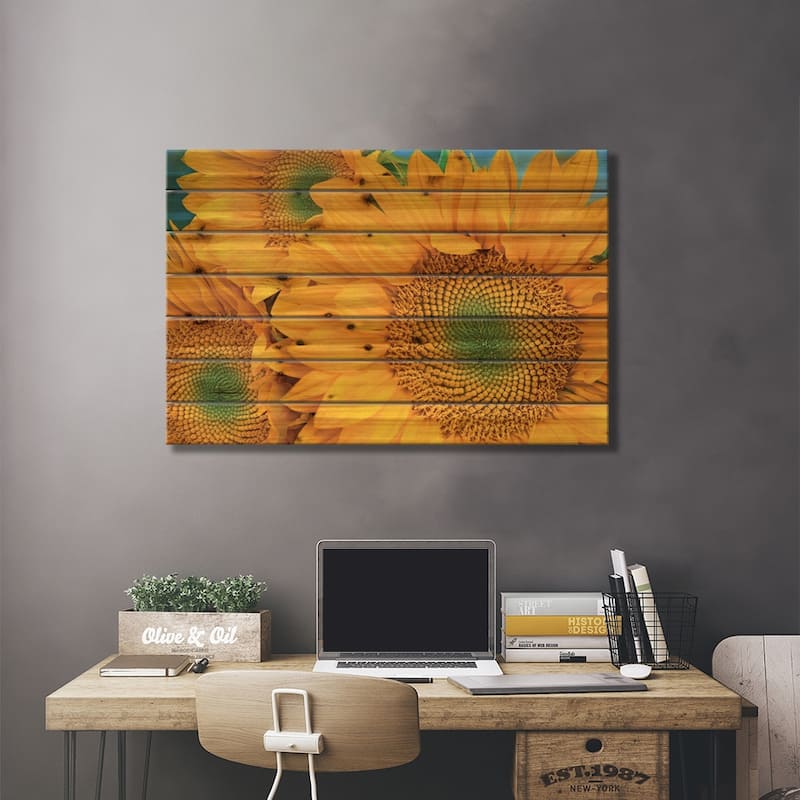 Common Sunflower Group Showing Symmetrical Seed Heads, North America II Print On Wood by Tim Fitzharris - Multi-Color