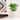 Southern Patio French Rustic White Ceramic 5.9-inch Planter