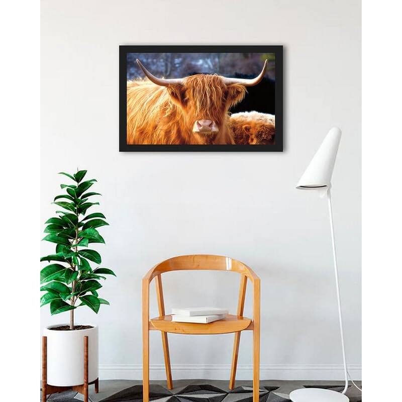 Highland Cow Sunshine Framed Poster - 24 x 32 Inch - Black