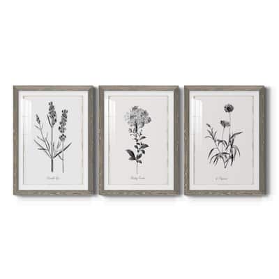 Simply Imperial-Premium Framed Print - Ready to Hang