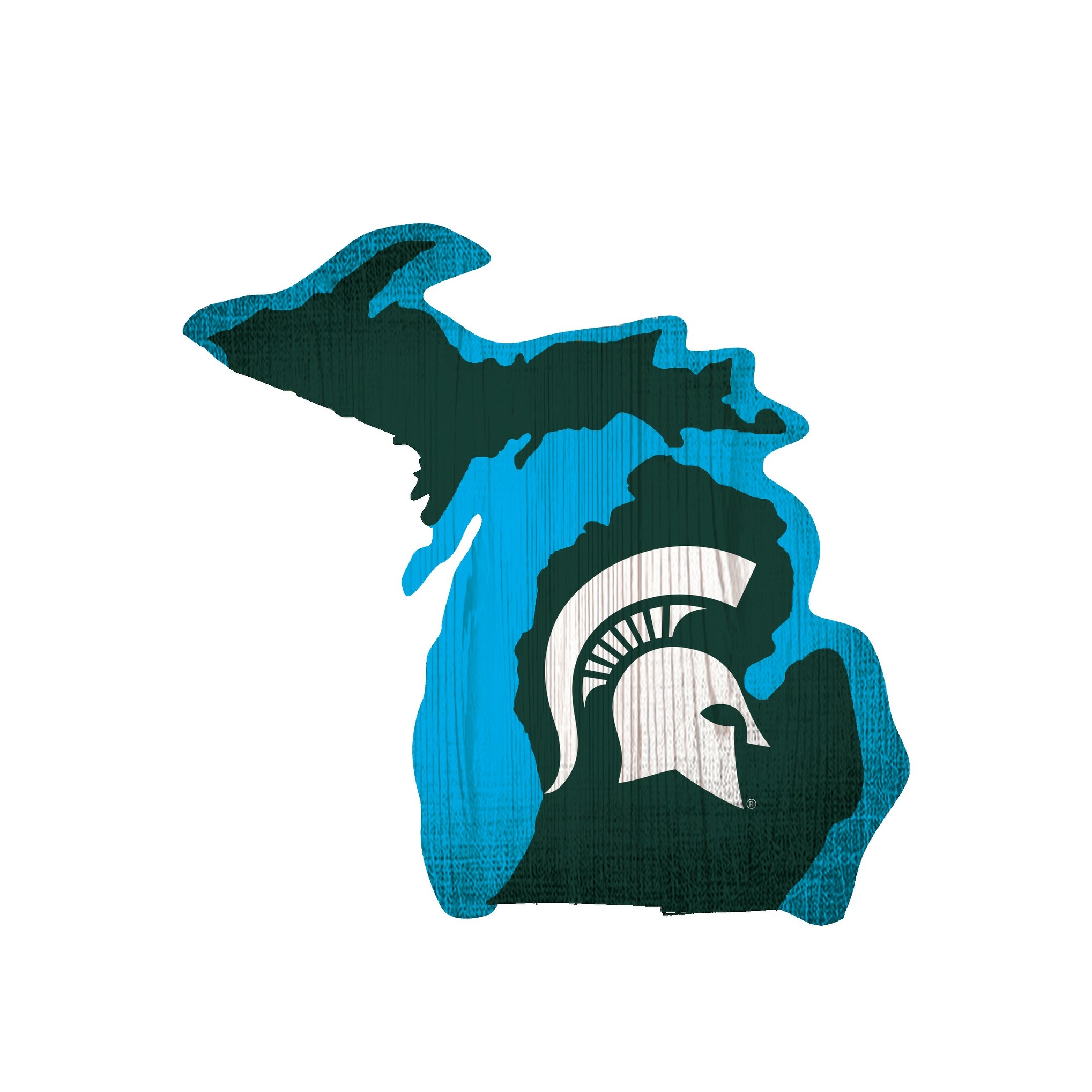 Shop Michigan State Spartans Sign Wood Logo State Design On Sale Overstock 27574160