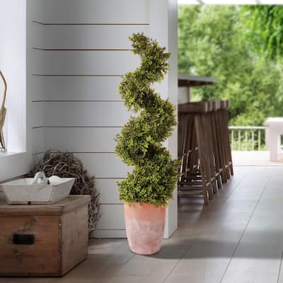 Spring Boxwood Spiral Terracotta pot 52"