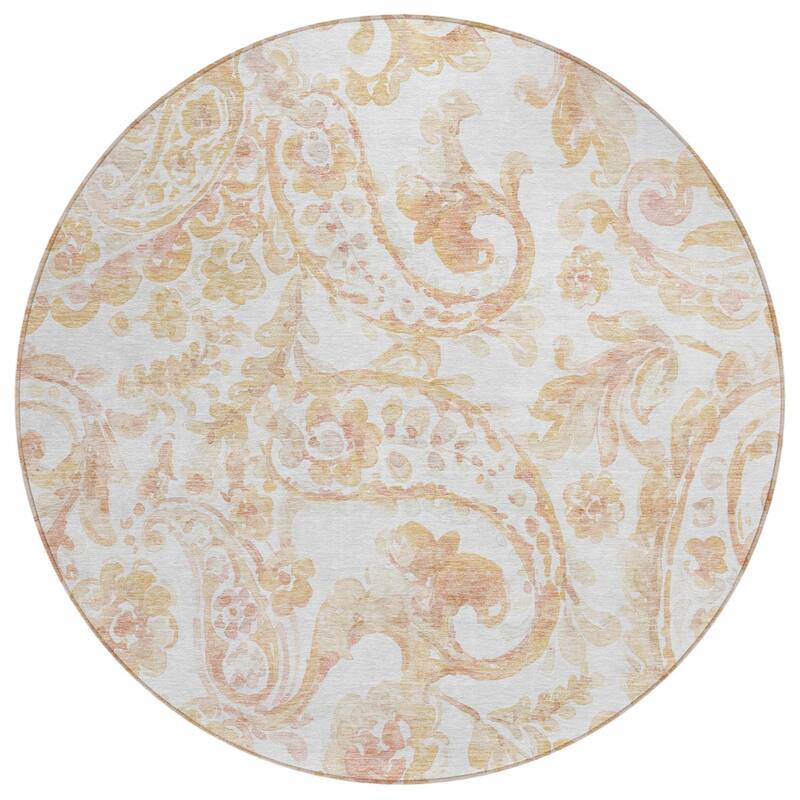 HomeRoots Paisley Transitional Rectangle Outdoor Rug
