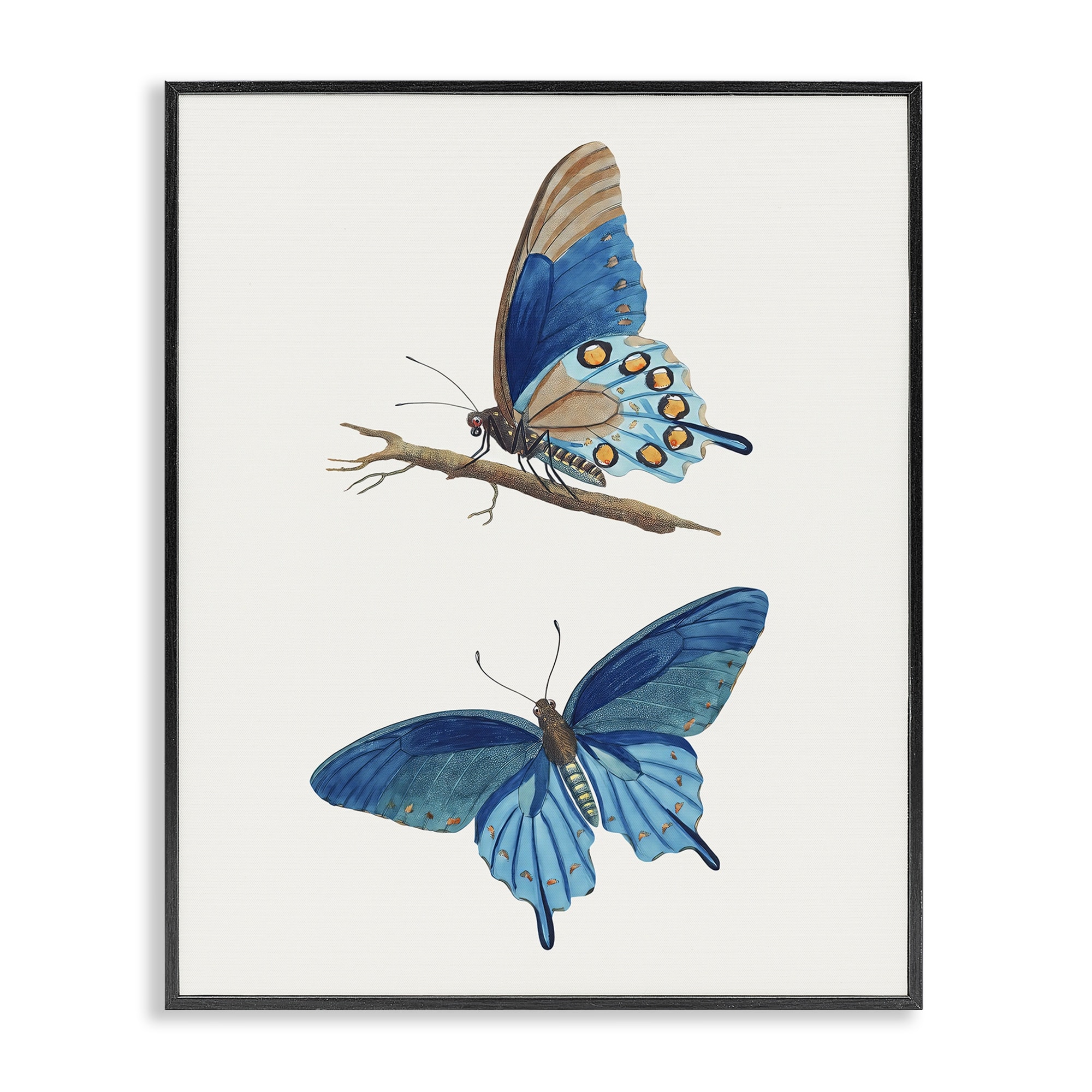 Stupell Blue Butterflies Pair Framed Giclee Art Design By Arlington Prints