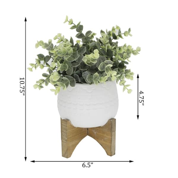 Eucalyptus in 5" Matte White Mayan Ceramic Pot on Wood Stand ,E PACK - ONE-SIZE
