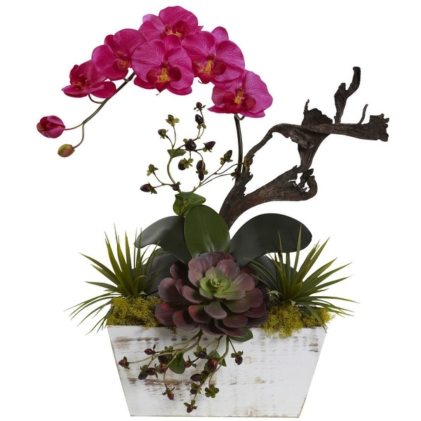 Nearly Natural Orchid & Succulent Garden with White Wash Planter