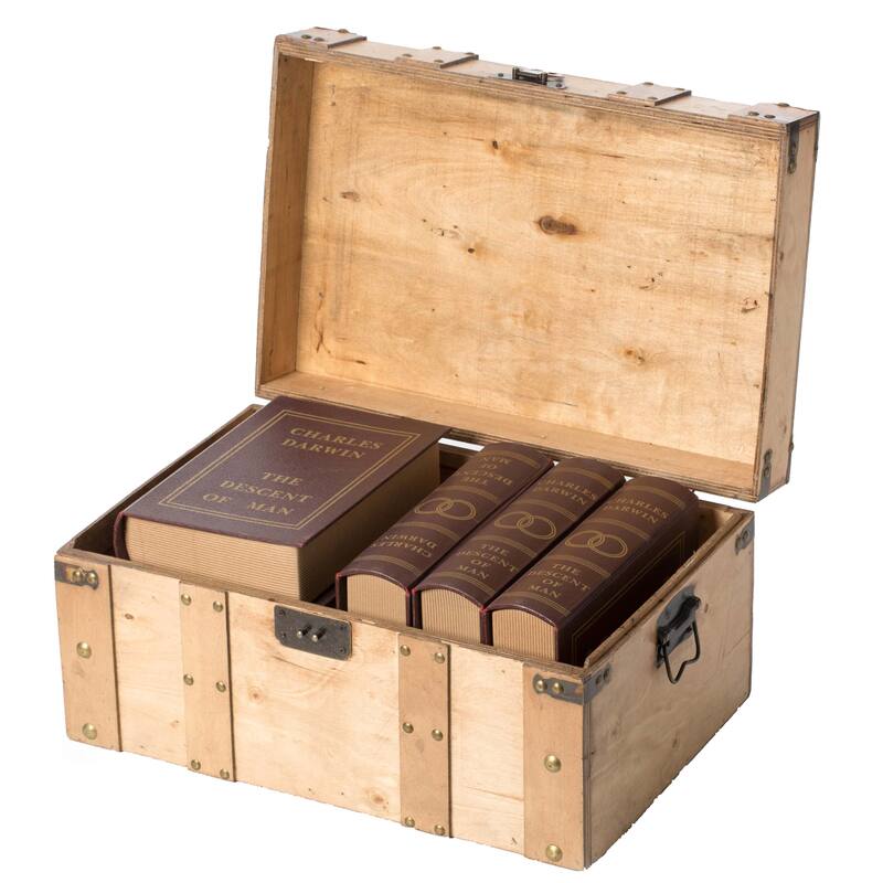 Natural Wooden Style Trunk with Handles - Small