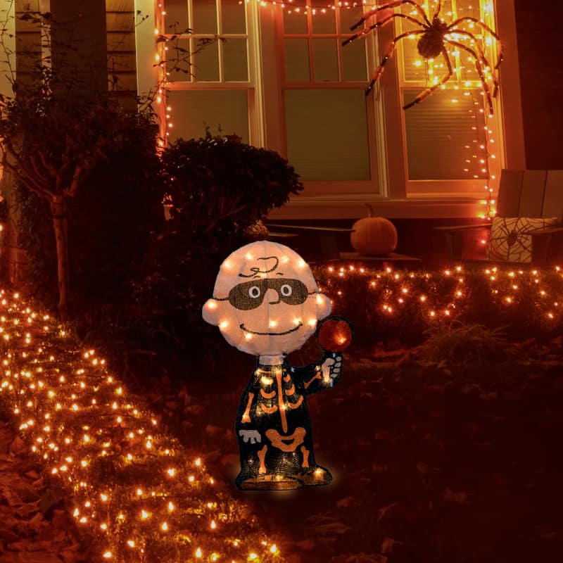 18" Peanuts LED Pre-Lit Charlie Brown Bones