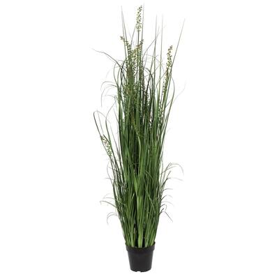 60" PVC Artificial Potted Green Sheep's Grass and Plastic Grass.
