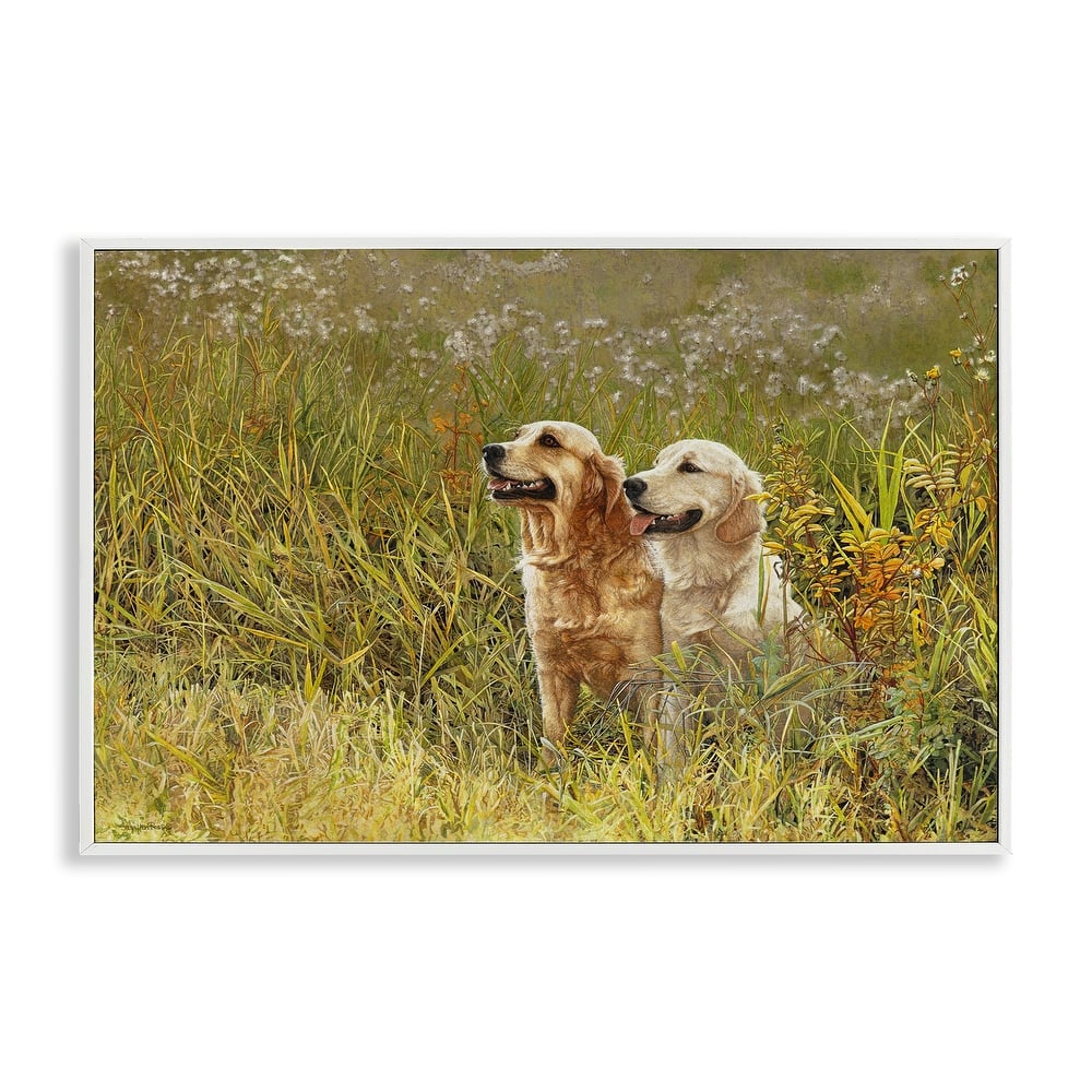 Stupell Happy Dogs Field Day Framed Giclee Art Design By Sueellen Ross