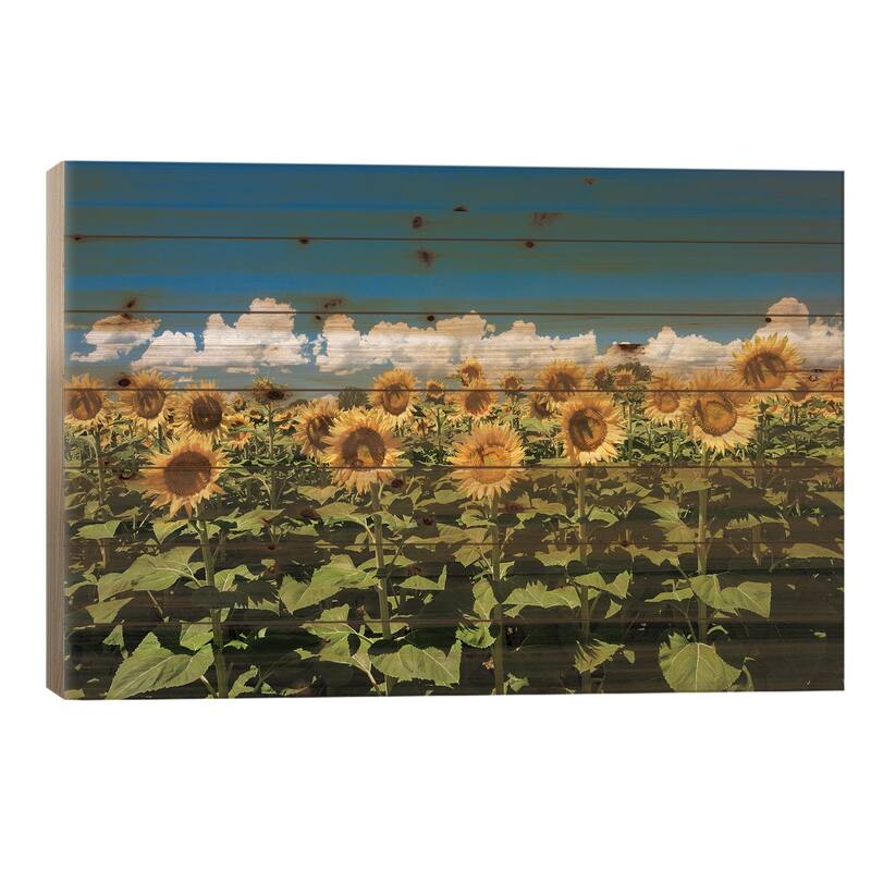 Field Of Sunflowers Print On Wood by Panoramic Images - Multi-Color - 26x40x1.5