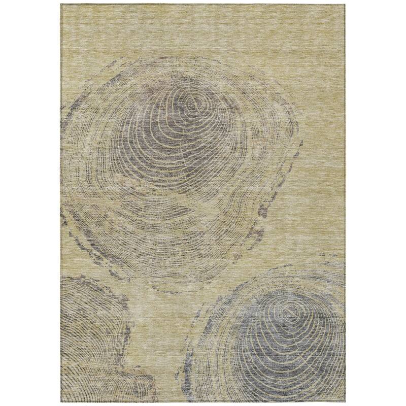 HomeRoots Abstract Transitional Rectangle Outdoor Rug