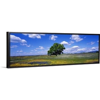 Shop California Oroville Table Mountain Black Float Frame
