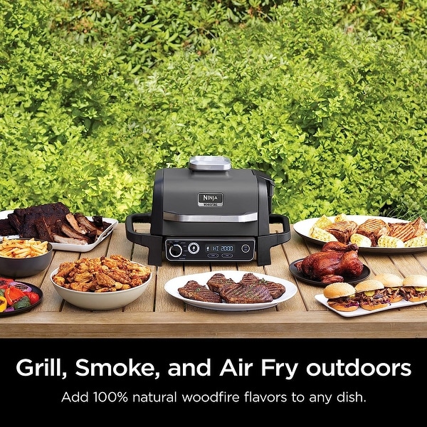 Ninja Woodfire Pro Outdoor Grill and Smoker, Temperature Probe