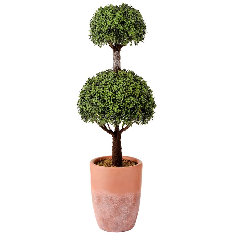 Spring Boxwood In Pot 43"