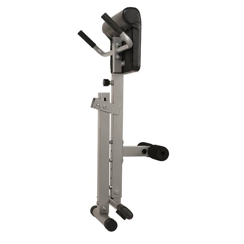 Sunny Health & Fitness 45-degree Hyperextension Roman Chair
