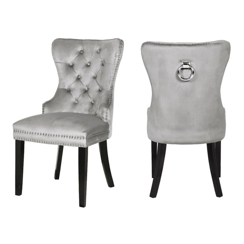 Gray Stainless Steel Legs Chair Finish with Velvet Fabric (Set of 2)