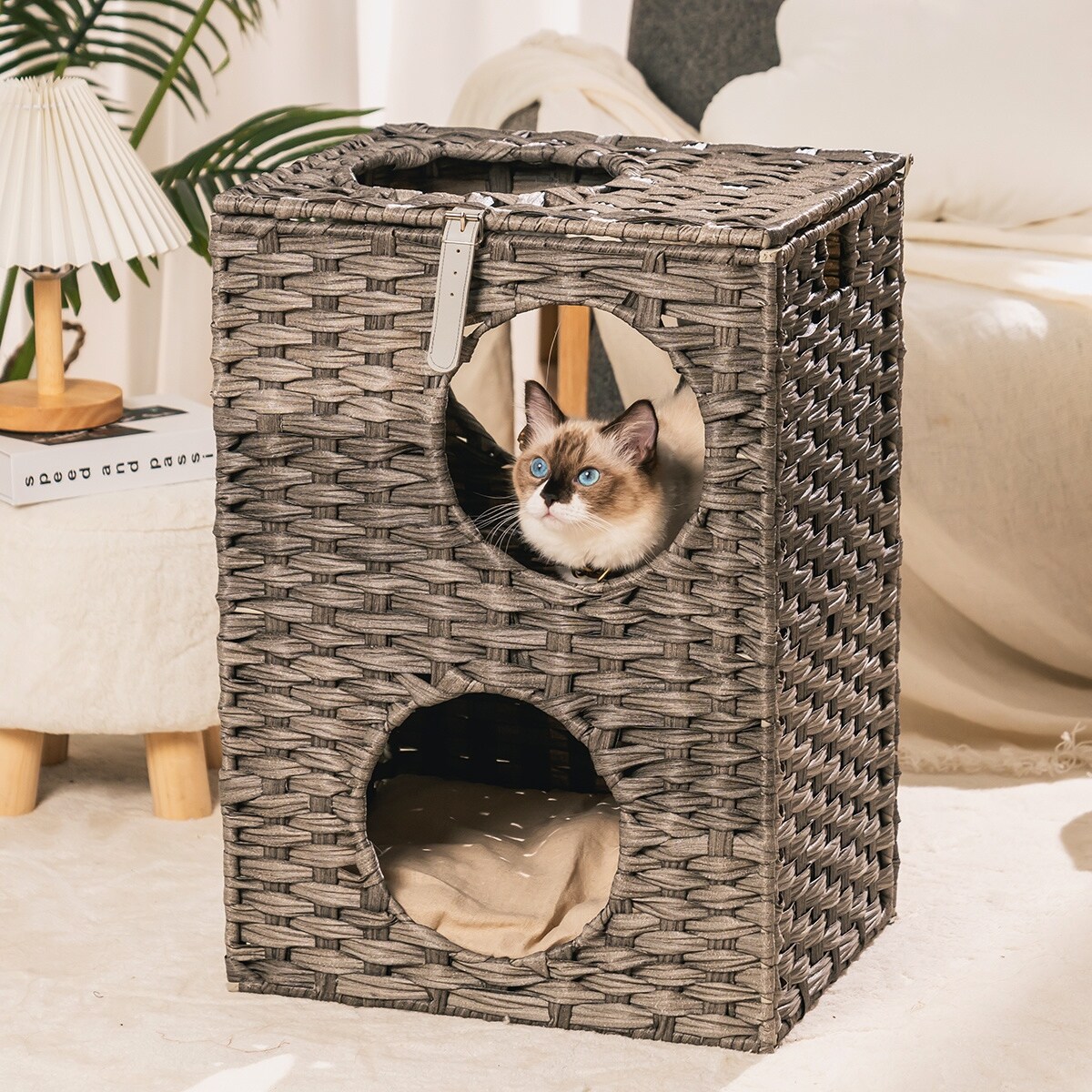 Bed bath and beyond cat bed sale