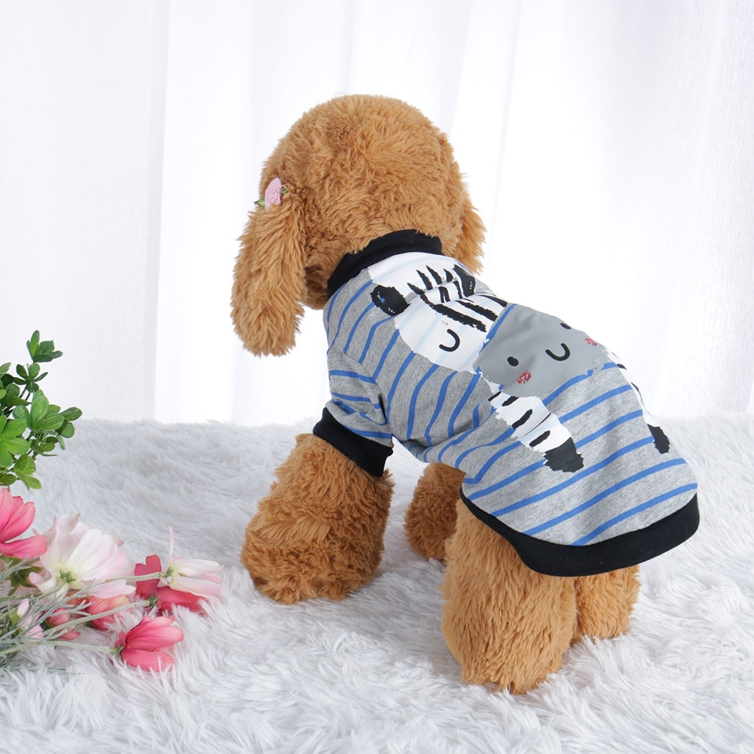 dog apparel