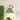 Scandinavian 1-Light Brass Accented Green Cone Wall Lamp