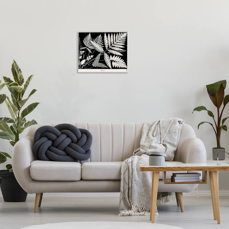 Stupell Overlapping Ferns on Black Framed Giclee Art Design By Phillipa Katz
