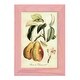preview thumbnail 94 of 138, Printed Tuscan Fruits IV -Framed Print w/glass-Cherry Red 4x6 - Pink
