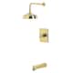 Option Polished Brass