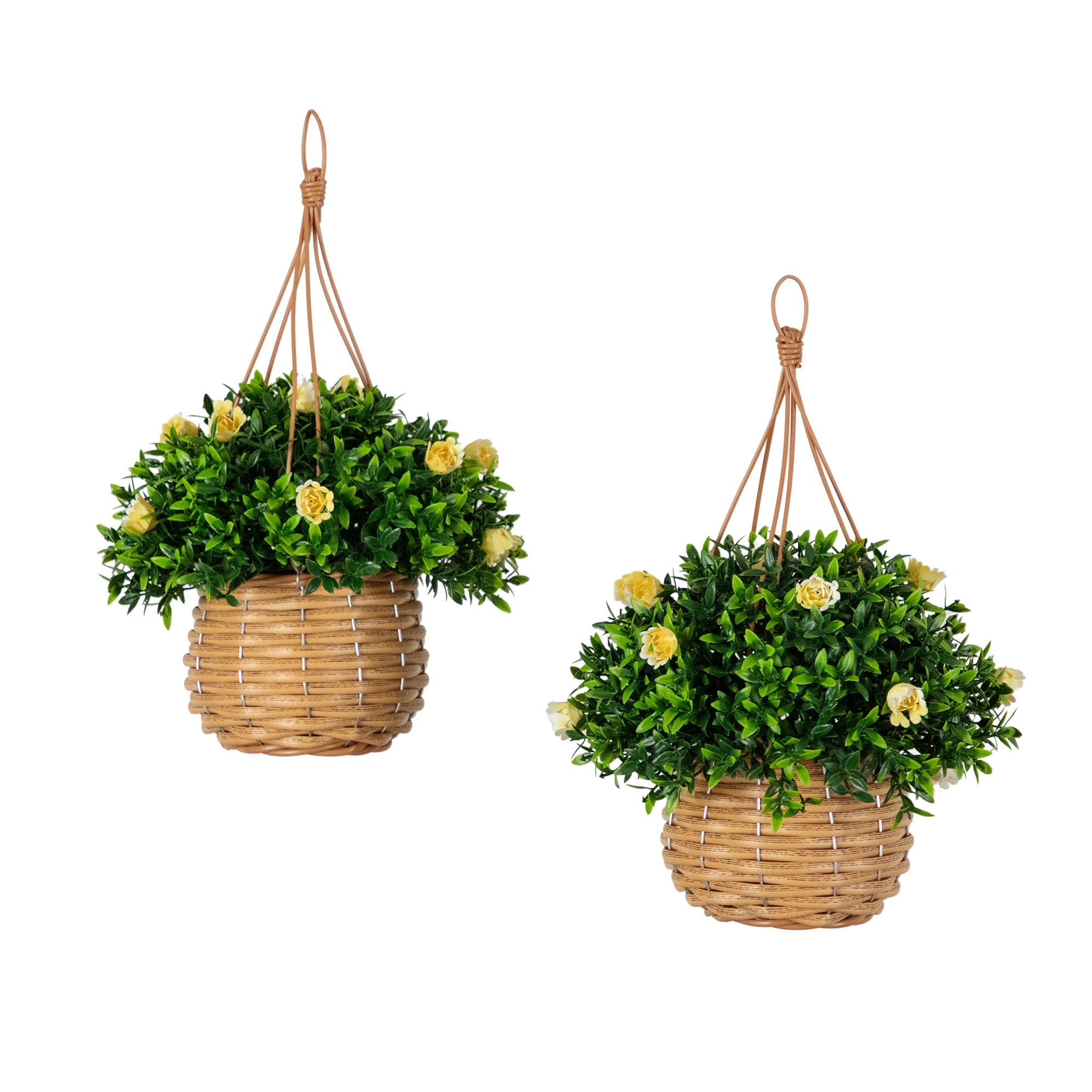 13-in UV Resistant Mini Rose and Aptenia in Hanging Basket - Set of 2