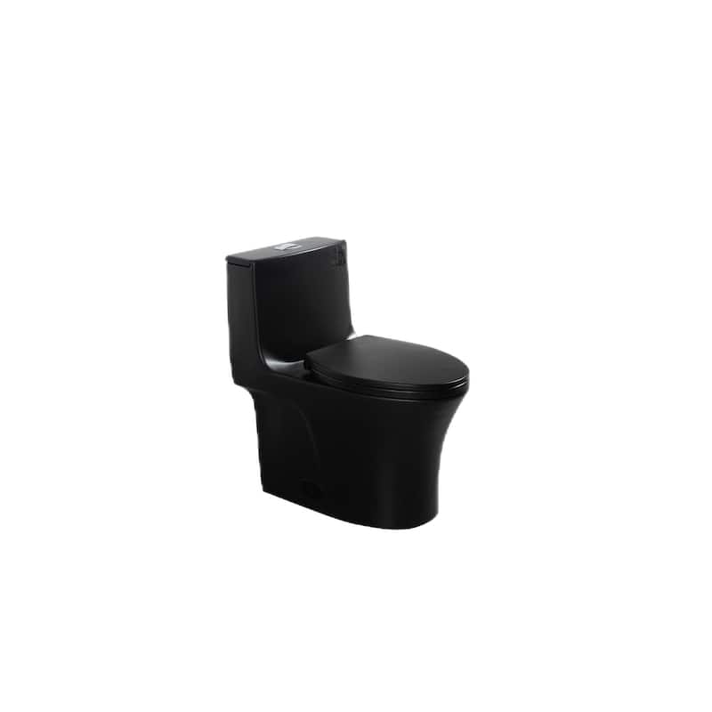 Matte Black One-Piece Toilet