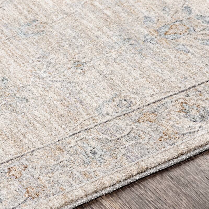 Livabliss Tritan Traditional Area Rug