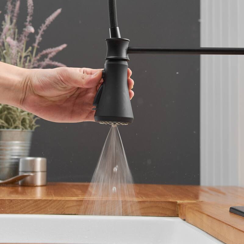 WIZ Single-Handle Pull-Down Sprayer 3 Spray High Arc Kitchen Faucet