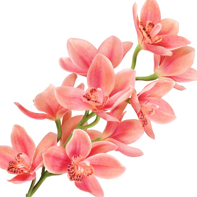 Set of 2 Large Coral Artificial Cymbidium Orchid Flower Stem Spray 31in - 31" L x 7" W x 7" DP