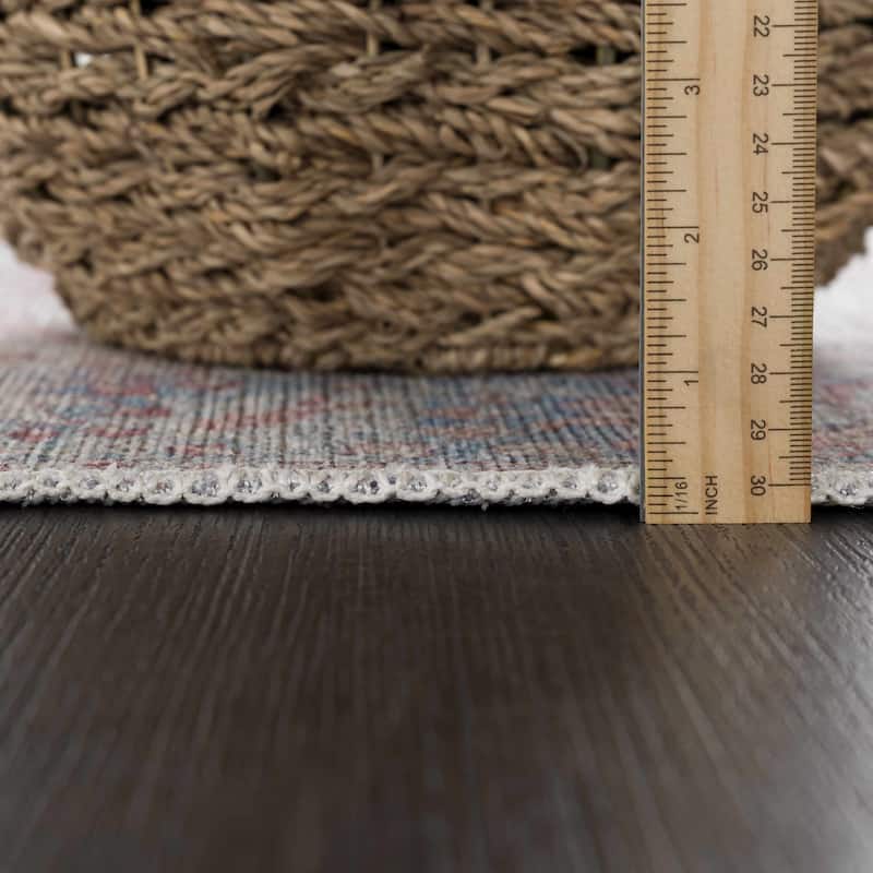Hauteloom Georgia Machine Washable Persian Oriental Traditional Area Rug