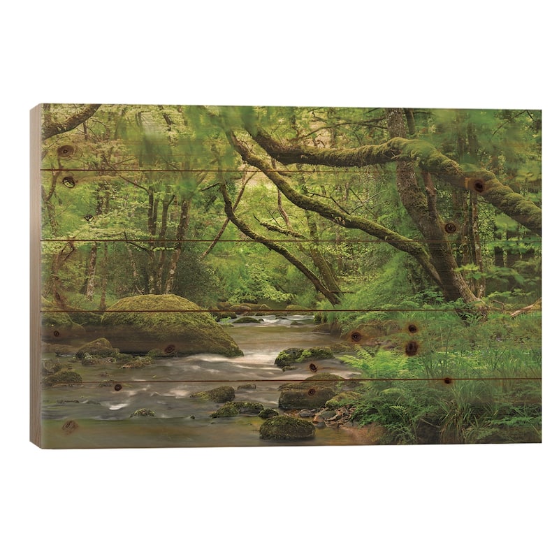 Fairytale Forest Print On Wood by Adam Burton - Multi-Color - 18x26x1.5