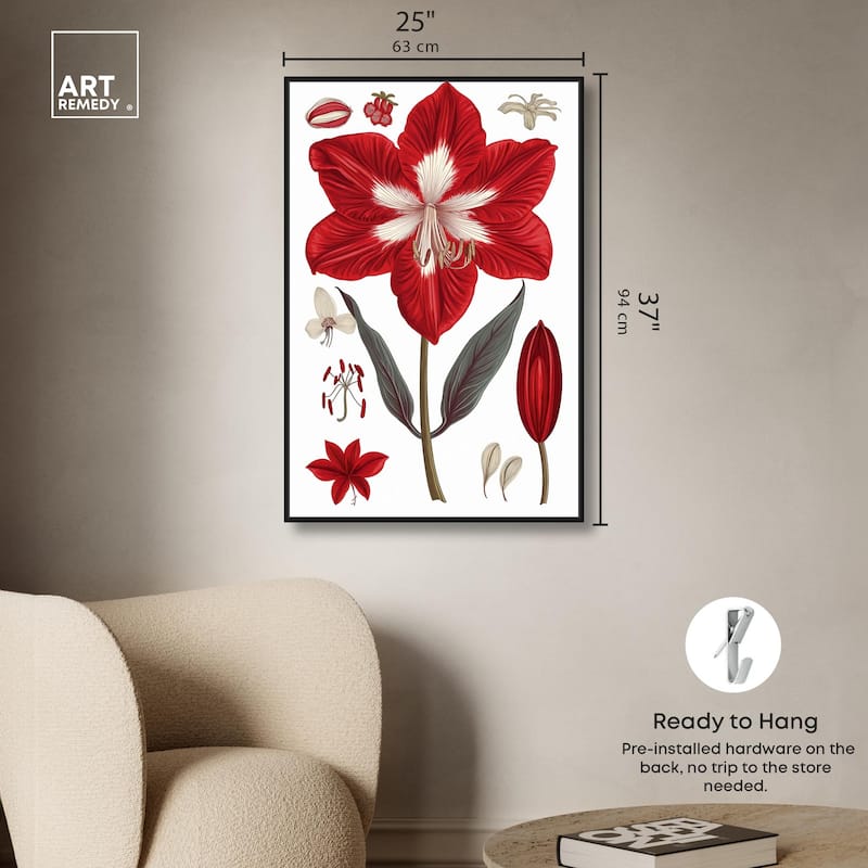 Amaryllis Anatomy Canvas by Art Remedy