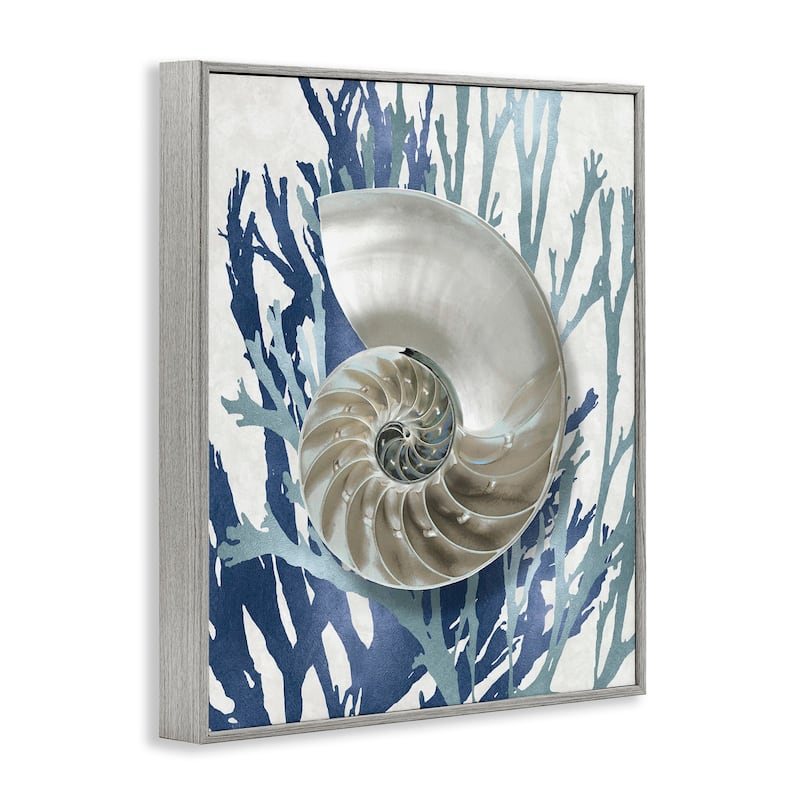 Stupell Shell Coral Beach Blue Design Framed Giclee Texturized Art by Caroline Kelly