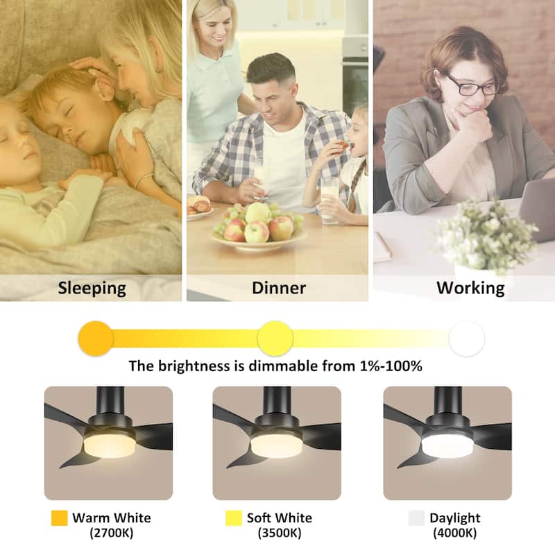 CARRO Haddington 45-inch Indoor Ceiling Fan with Light and Remote