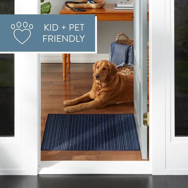 TOWN & COUNTRY BASICS Layne Everwash® Area Rug