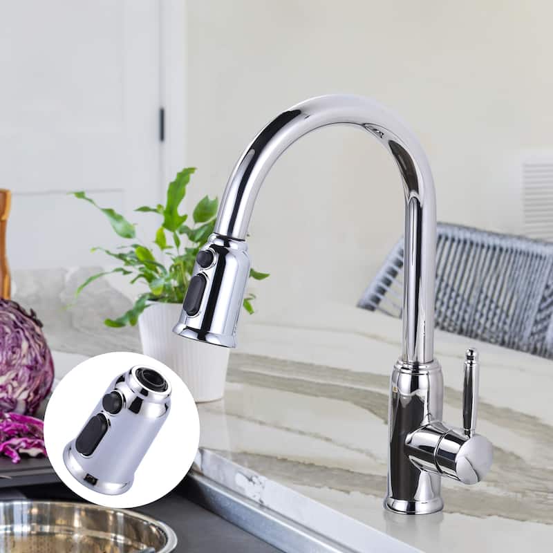Pull Down Kitchen Faucet Head Replacement with 9 Adapter Kit