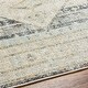 preview thumbnail 5 of 4, Livabliss Bitlis Faded Persian Area Rug