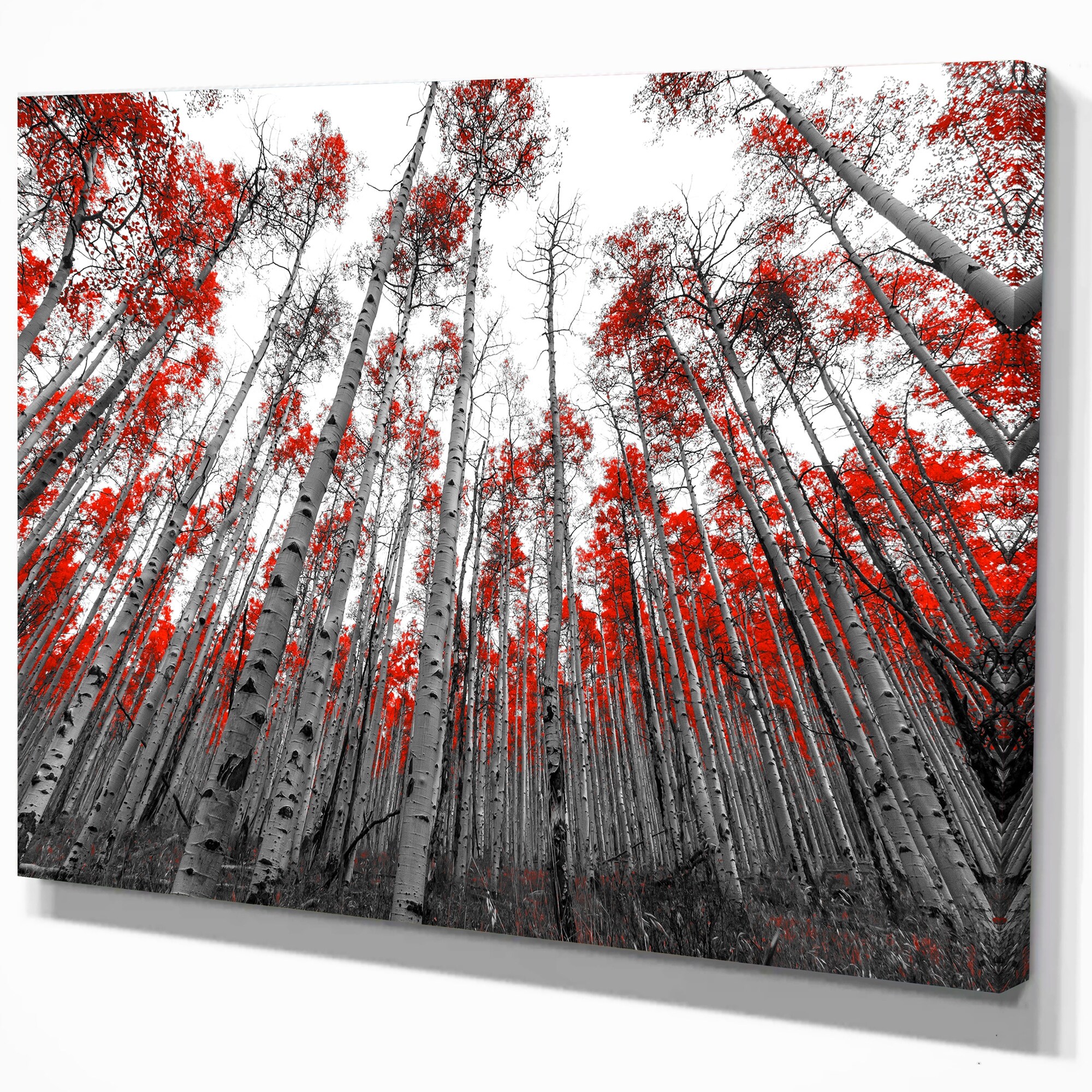 https://ak1.ostkcdn.com/images/products/is/images/direct/5defa8ad080bfce91ac0a5f575bb2bb53c40df7e/Designart-%27Red-Leaf-Trees-in-Tall-Forest%27-Floral-Landscapes-Photographic-on-wrapped-Canvas.jpg